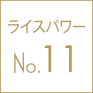 ライスパワーNo11