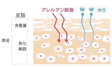 肌図