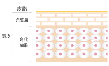 肌図