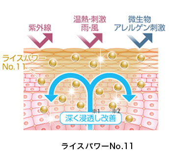 バリアケアライスパワー浸透改善バリア機能の整った肌健康な肌